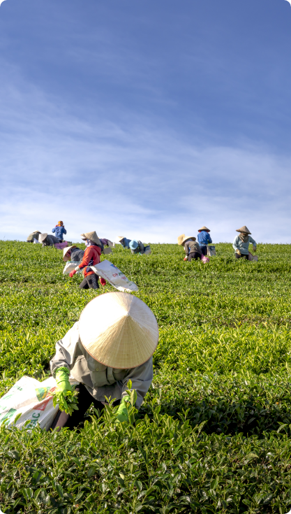 Agriculture Farming post thumbnail