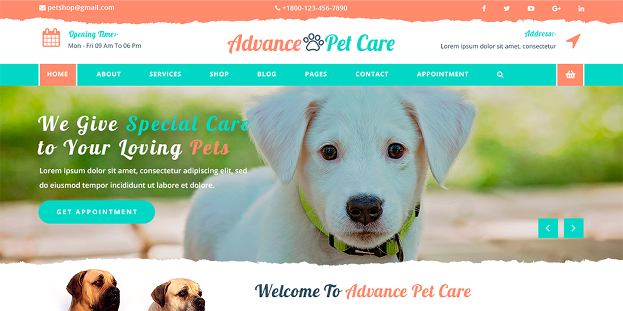 Free Pet WordPress Theme