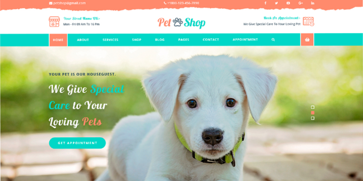 Pet WordPress Theme