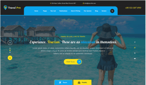 free Travel WordPress theme