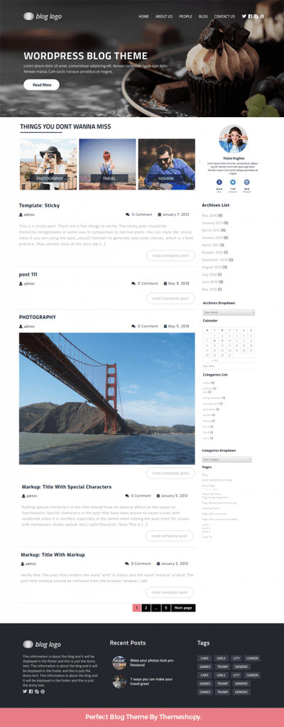 wordpress blog theme