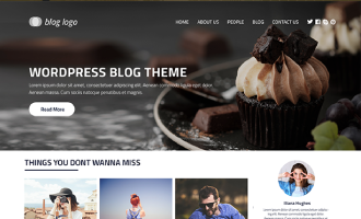 Free WordPress Blog Theme