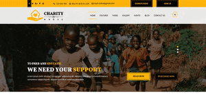 Charity-WordPress-theme