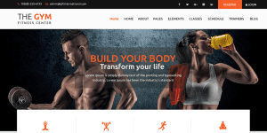 WordPress-fitness-theme