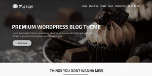 Wordpress-blog-theme