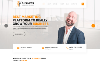 WordPress Theme for Business