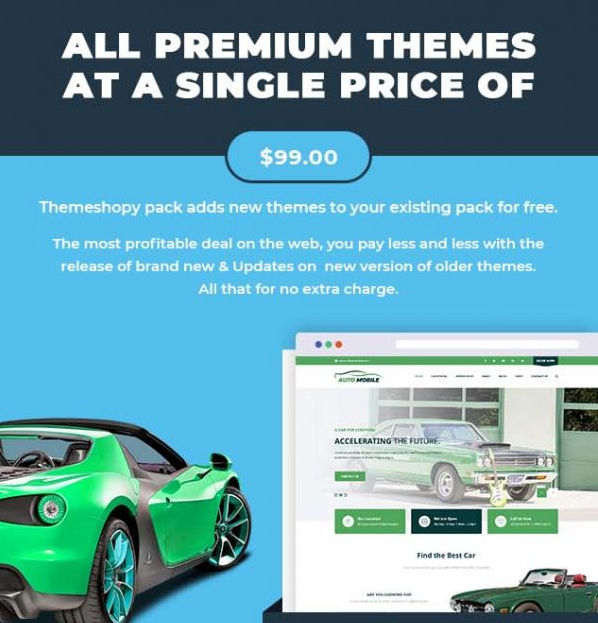 Ecommerce WordPress Theme Bundle