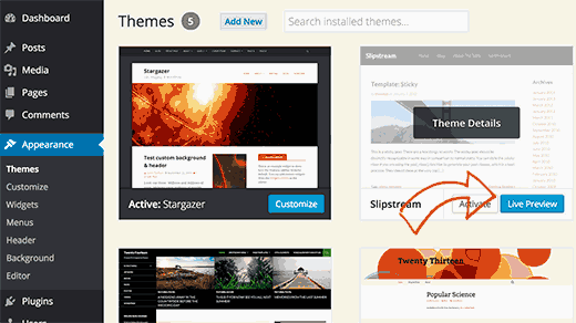 switching WordPress themes