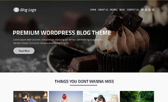 Premium WordPress Blog Theme